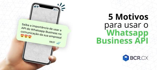 Business-API-A-importancia-de-usa-lo-na-sua-empresa